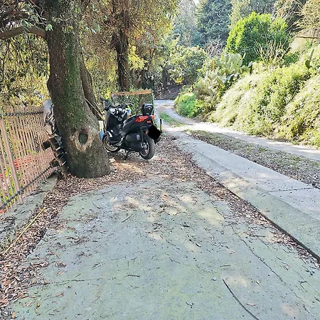 Saisi Guglielmo *